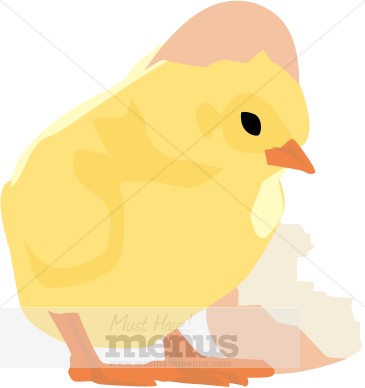 Chick Hatching Clipart