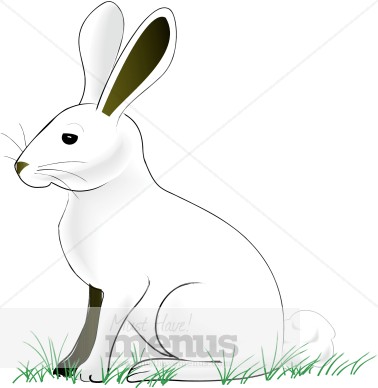 White Rabbit Clipart | Easter Images